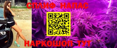 таблы Гусев