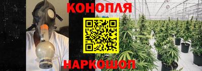таблы Гусев