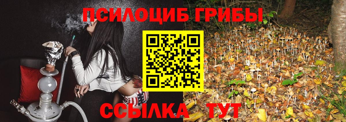 Можайск  Галлюциногенные грибы мухоморы  Вход с VPN 